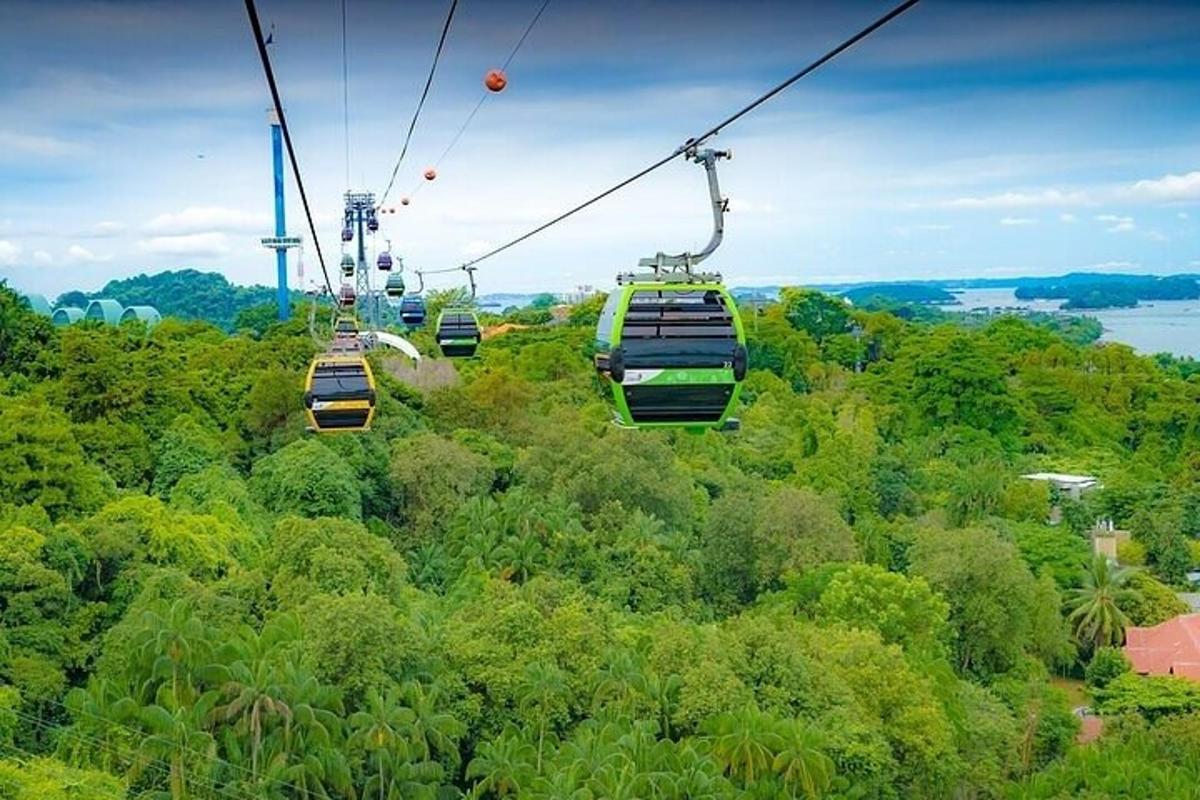 một nhóm thuyền gondola bay qua những cái cây