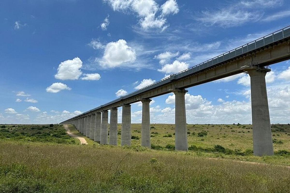 a long bridge in the middle of a field
