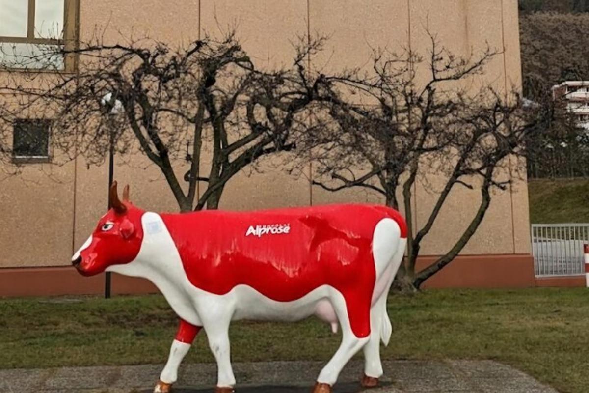 en rød og hvit kustatue foran en bygning