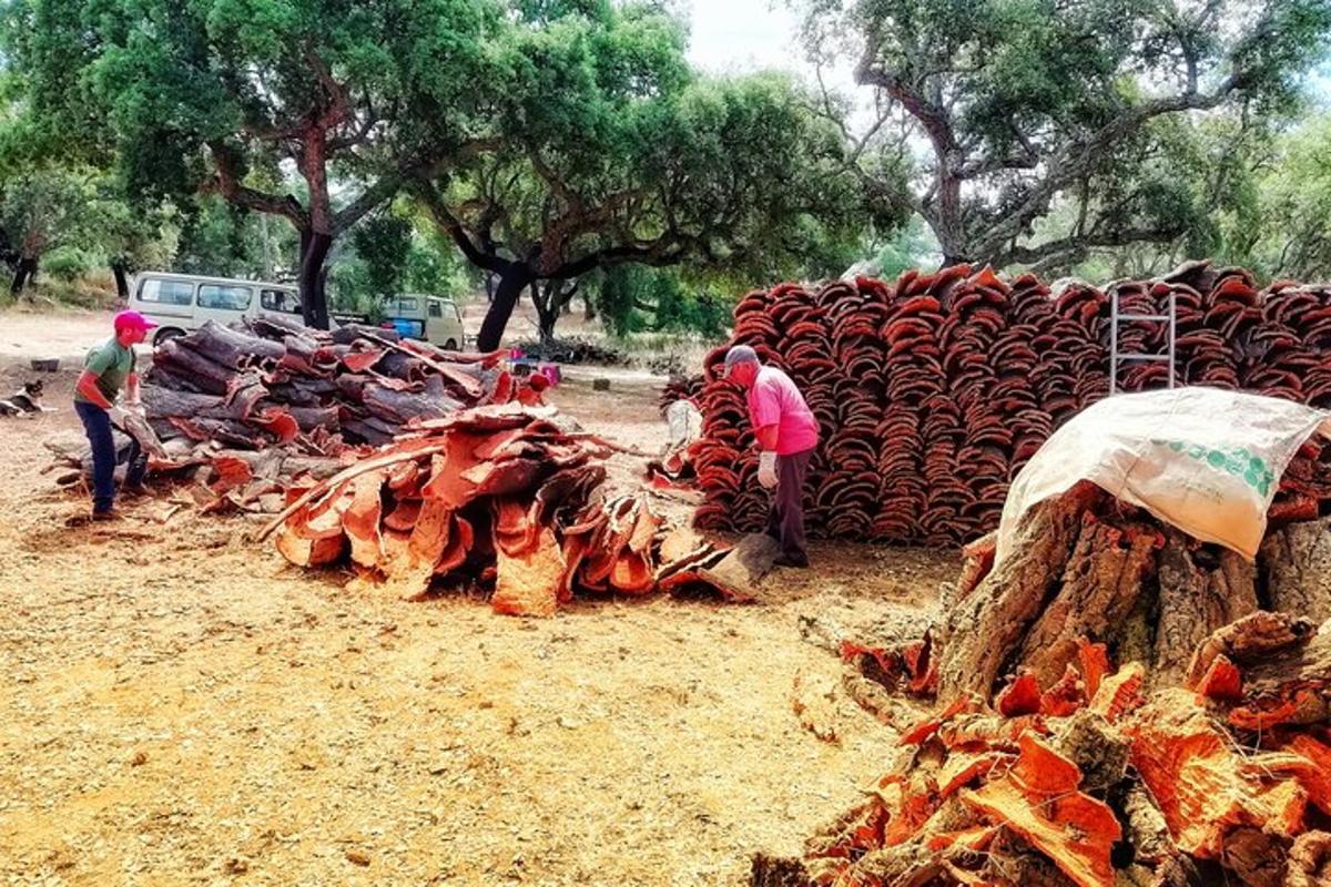 一群人在一堆okodoked上工作