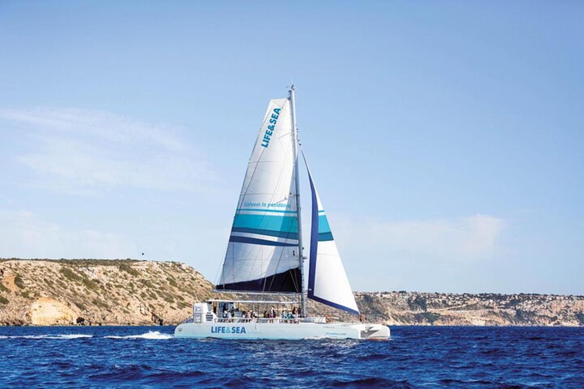 una barca a vela nell'oceano con una vela blu e bianca