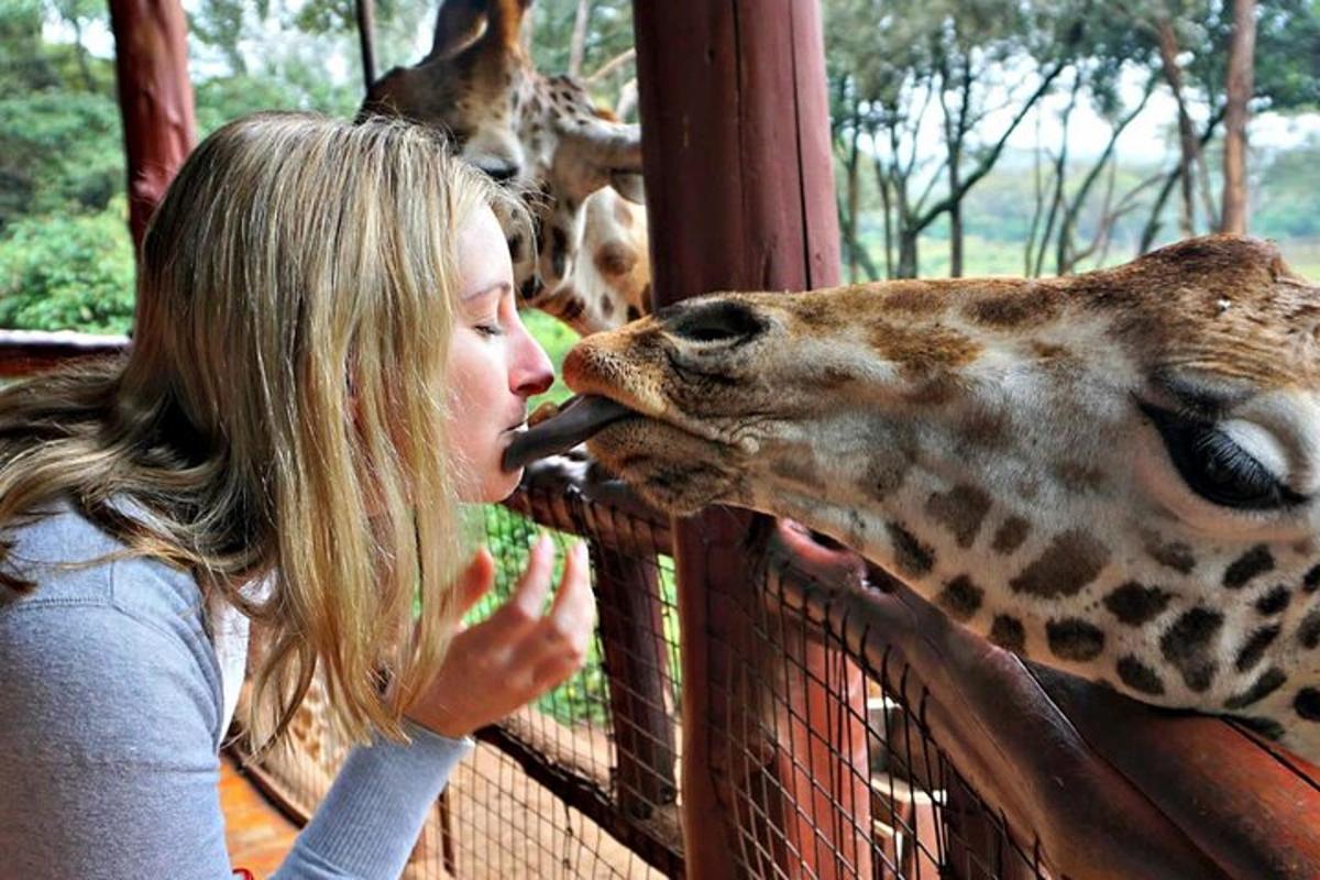 žena krmí žirafu v zoo