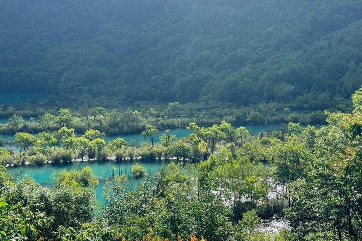 an aerial view of a body of water with trees