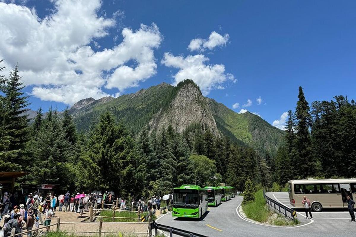 a group of buses driving down a road with a mountain