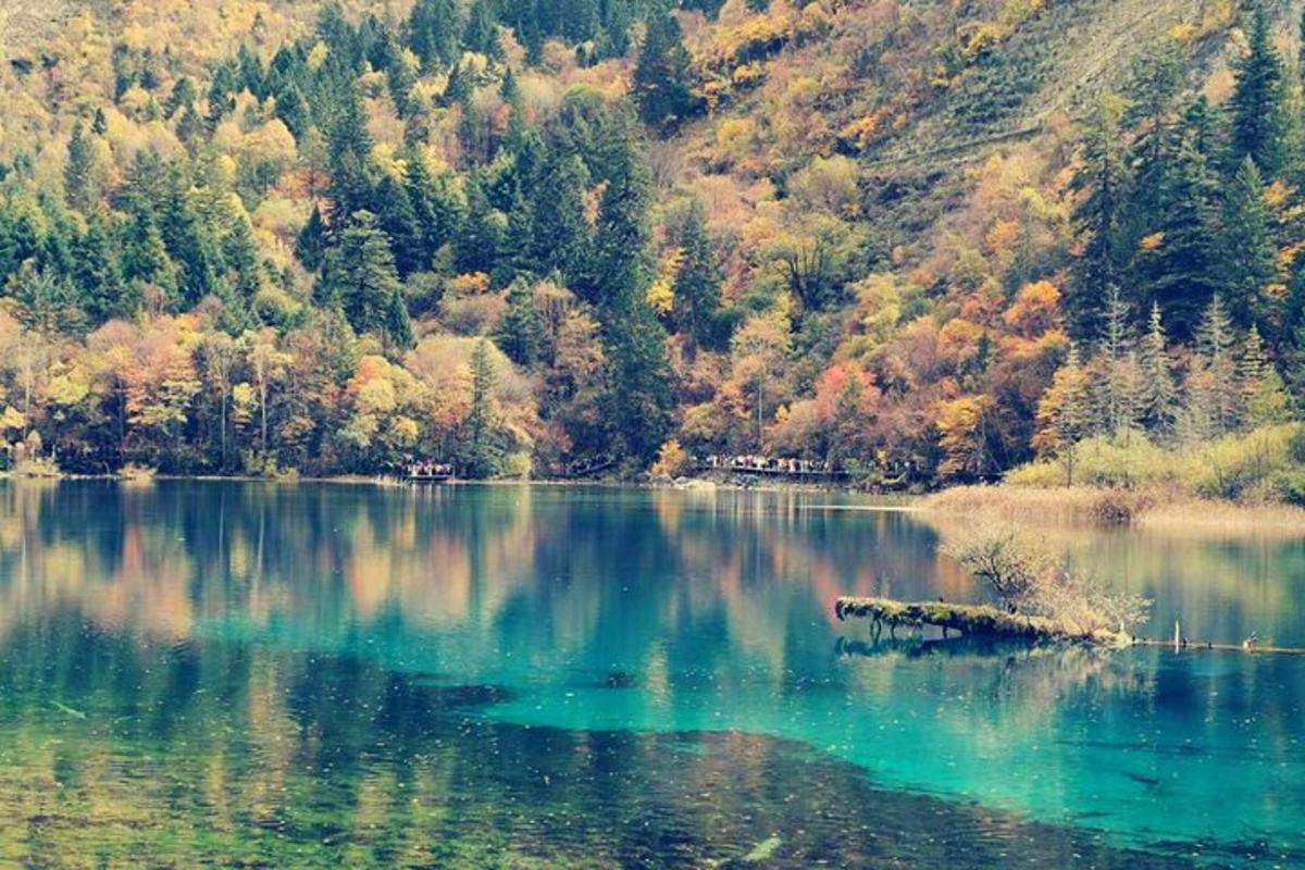 a view of a lake with trees in the background