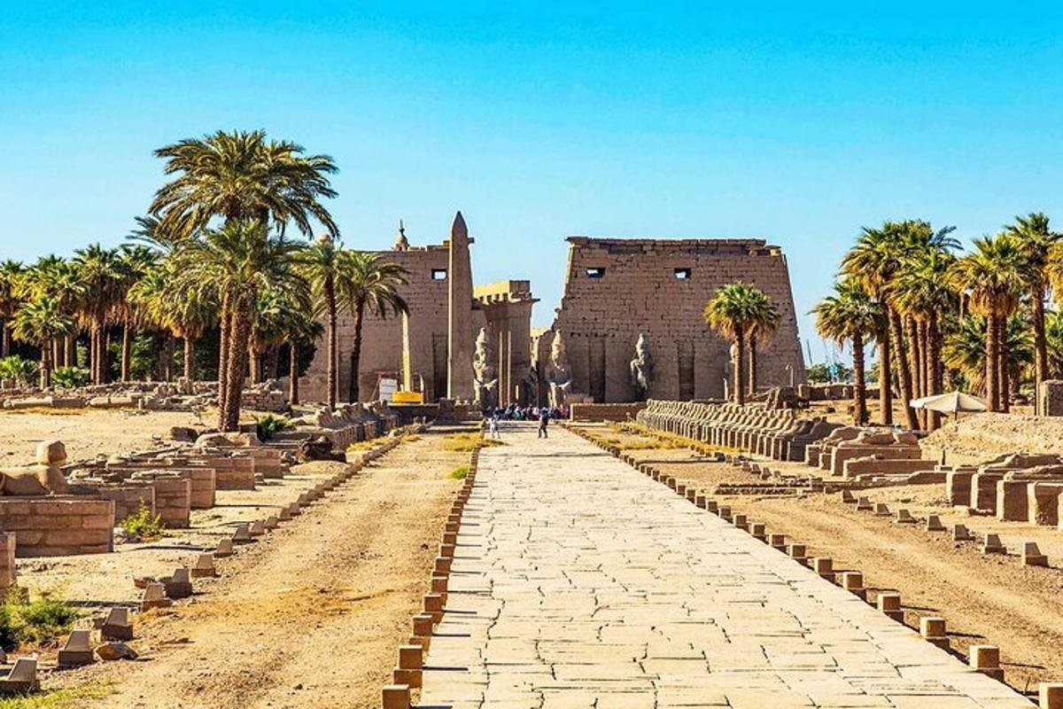 شارع به أشجار نخيل أمام مبنى