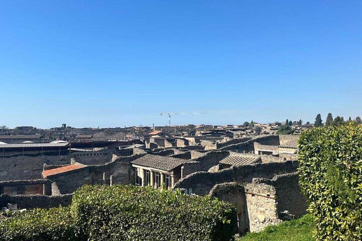 uma vista de uma cidade com edifícios e árvores