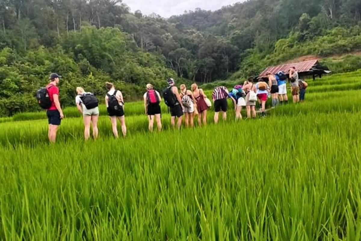 un grup de persones dempeus en un camp
