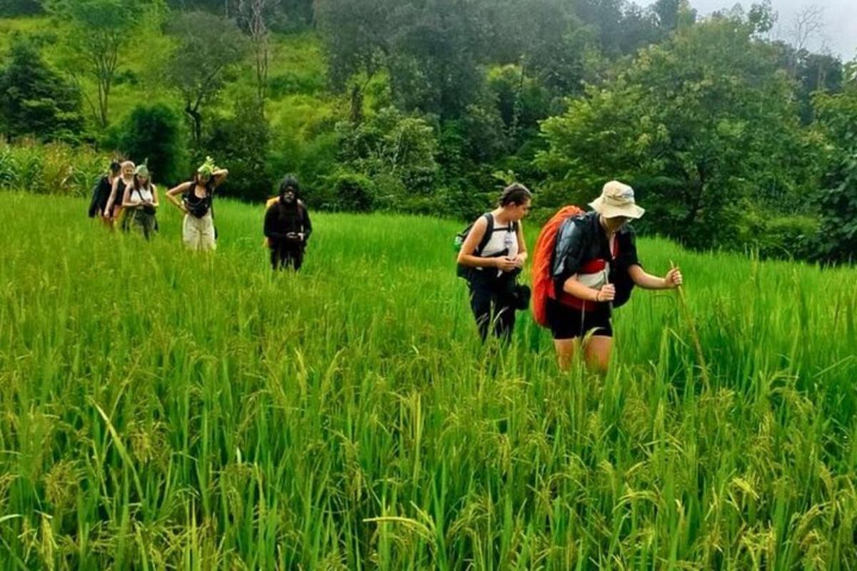 un grup de persones caminant per un camp d'herba alta