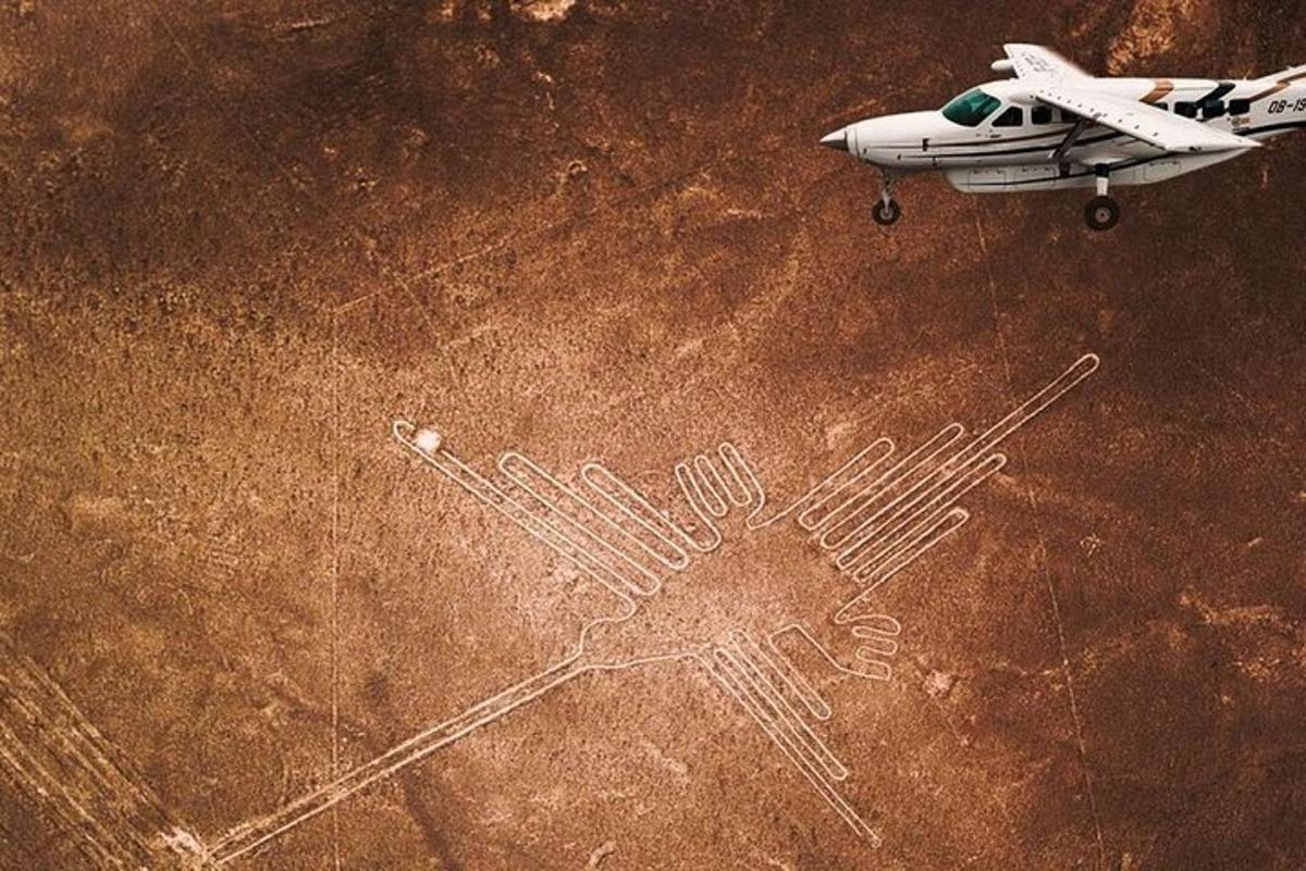 un aereo che vola sopra un campo con un'impronta di mano