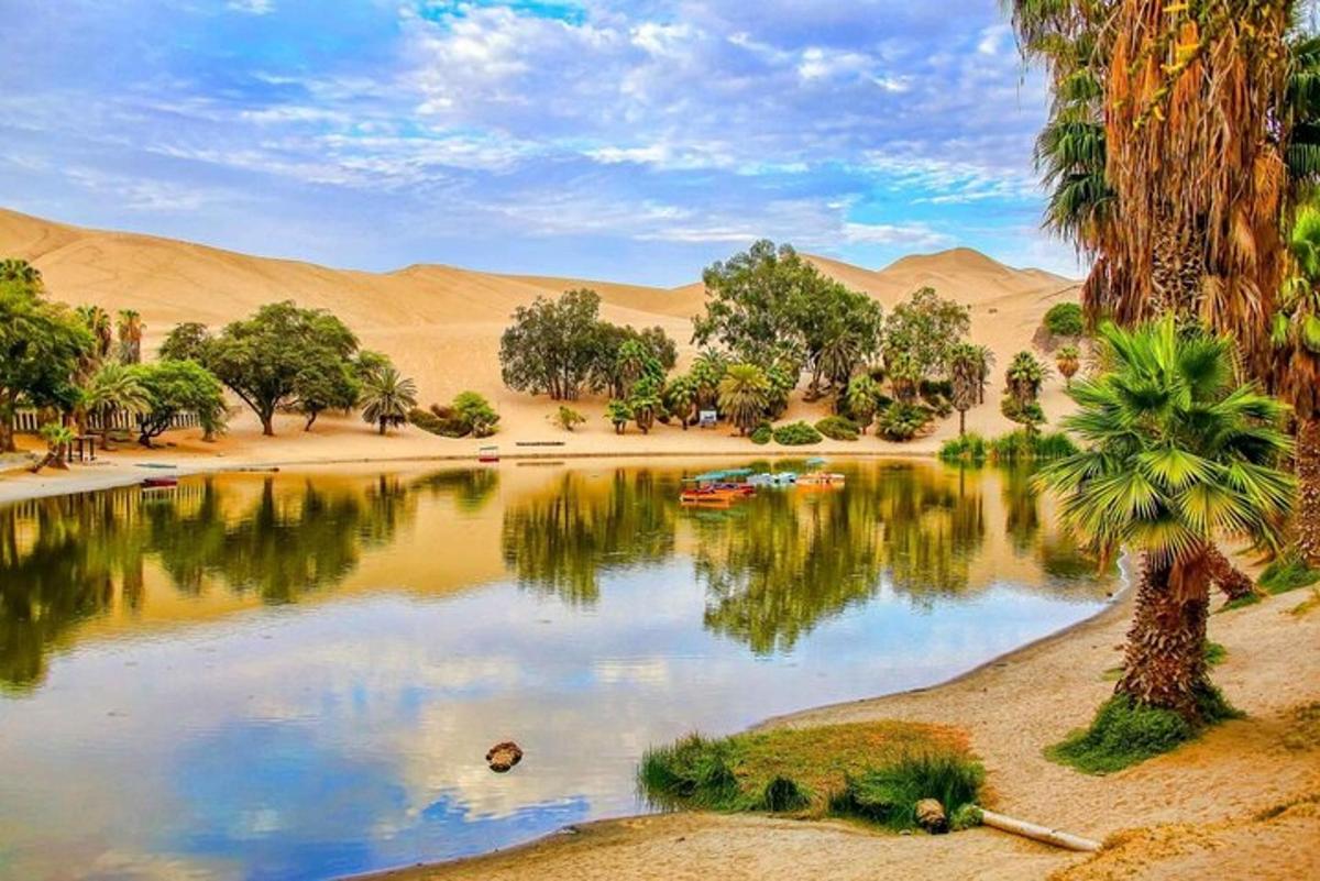 uno specchio d'acqua nel deserto con una palma