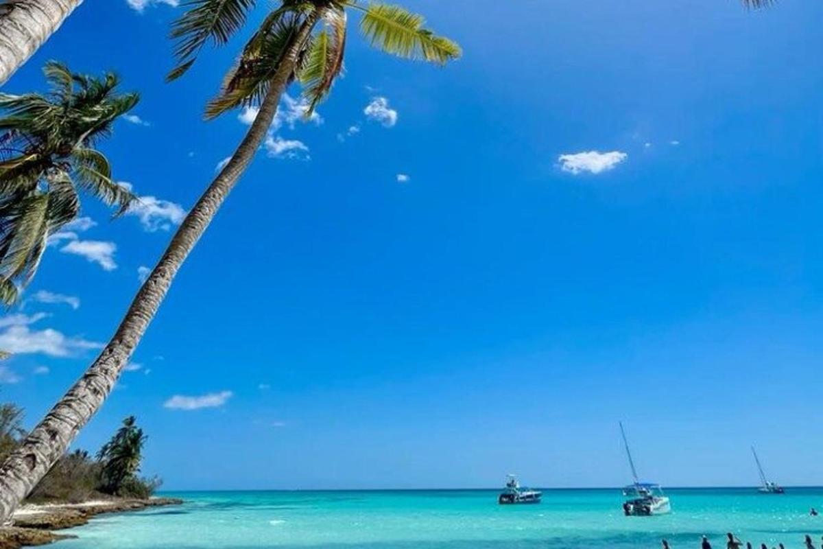 una spiaggia con palme e barche nell'oceano