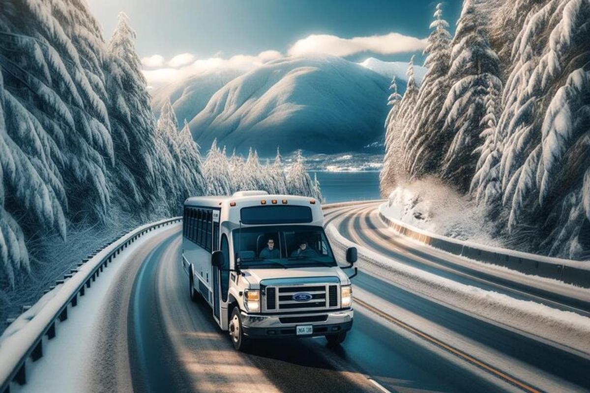 un camion bianco che percorre una strada con montagne coperte di neve