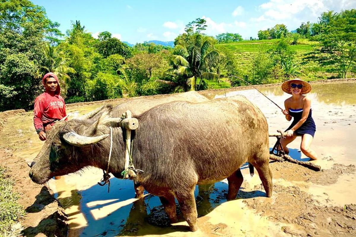 duas pessoas em pé ao lado de um boi na lama