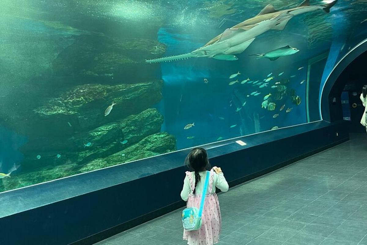 una bambina in piedi davanti a un grande acquario