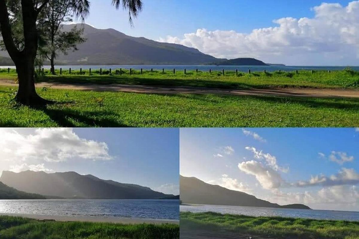 四张湖泊和树木的图片拼贴而成