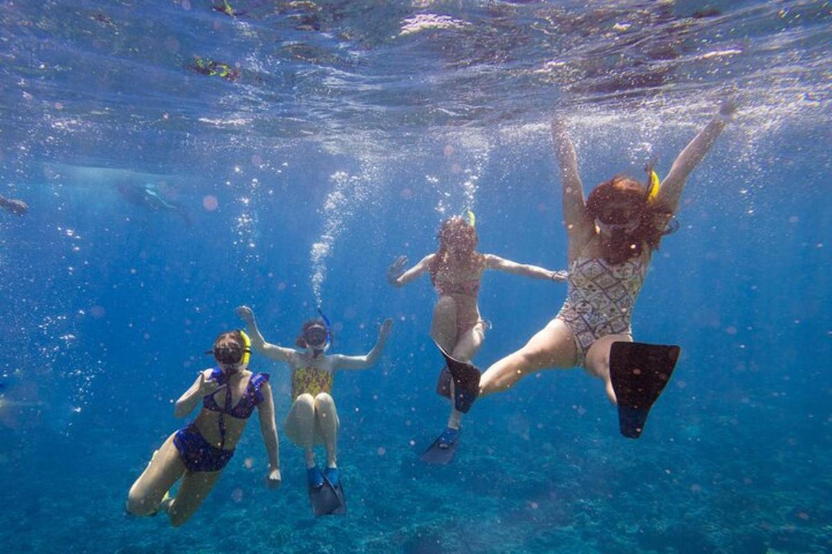 un grup de oameni care înoată în apă