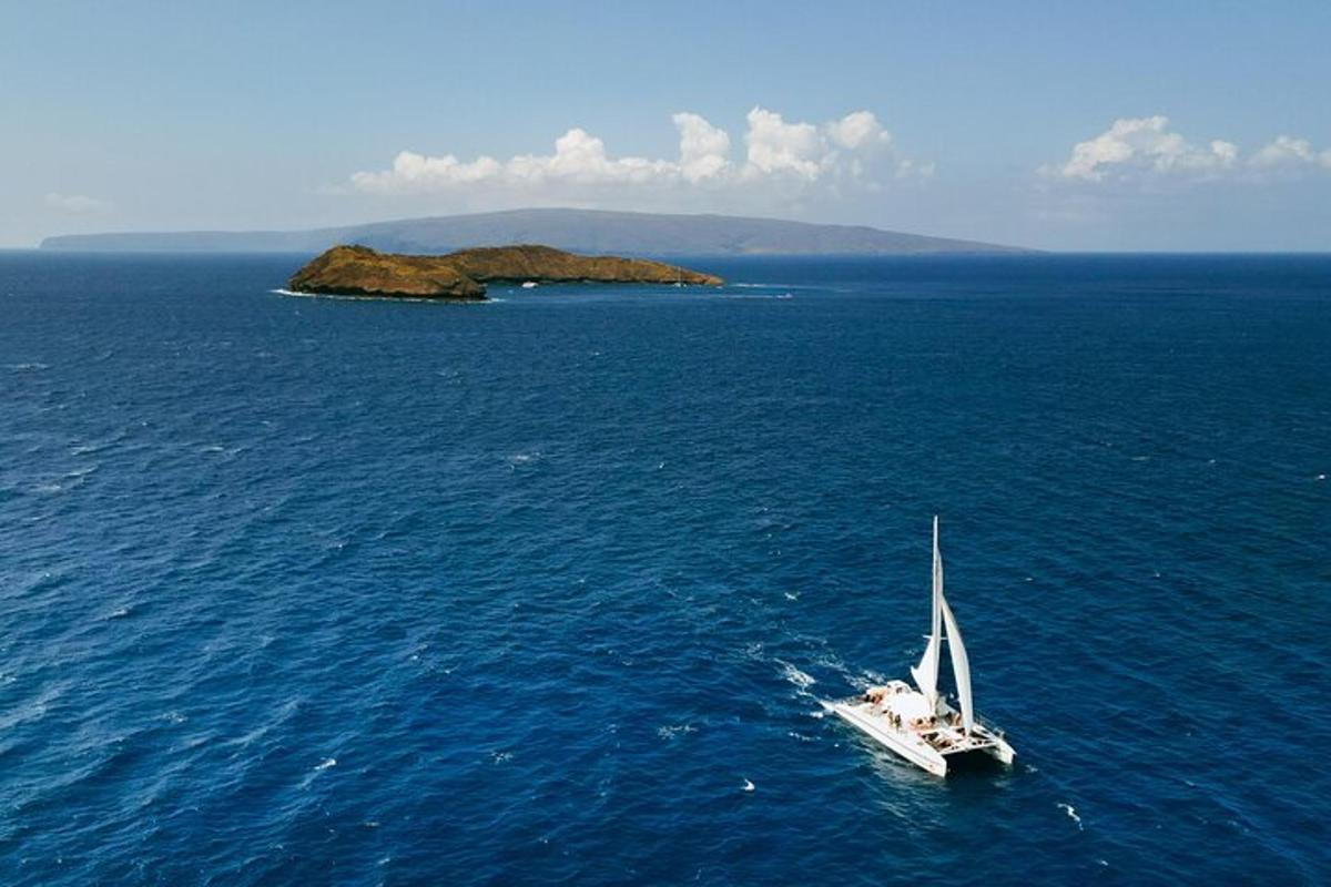 un velero en medio del océano con una pequeña isla