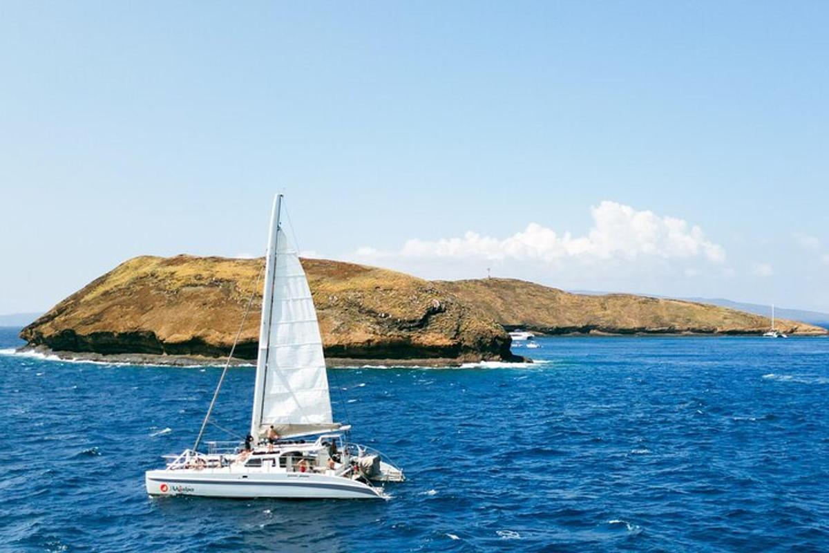 Un velero en el agua con una pequeña isla