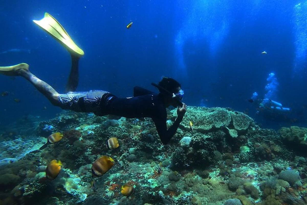 a person swimming over a reef with fish in the ocean