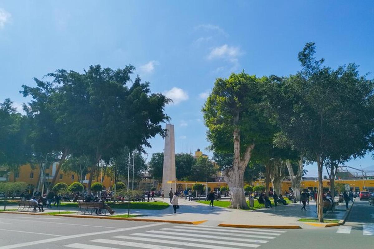 un parco con alberi e un monumento sullo sfondo