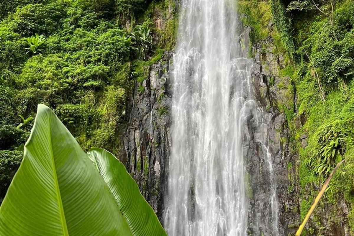 ein Wasserfall an der Seite einer Felswand
