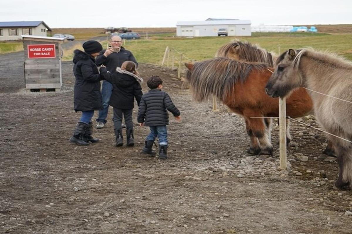 un gruppo di persone in piedi attorno a un gruppo di pony