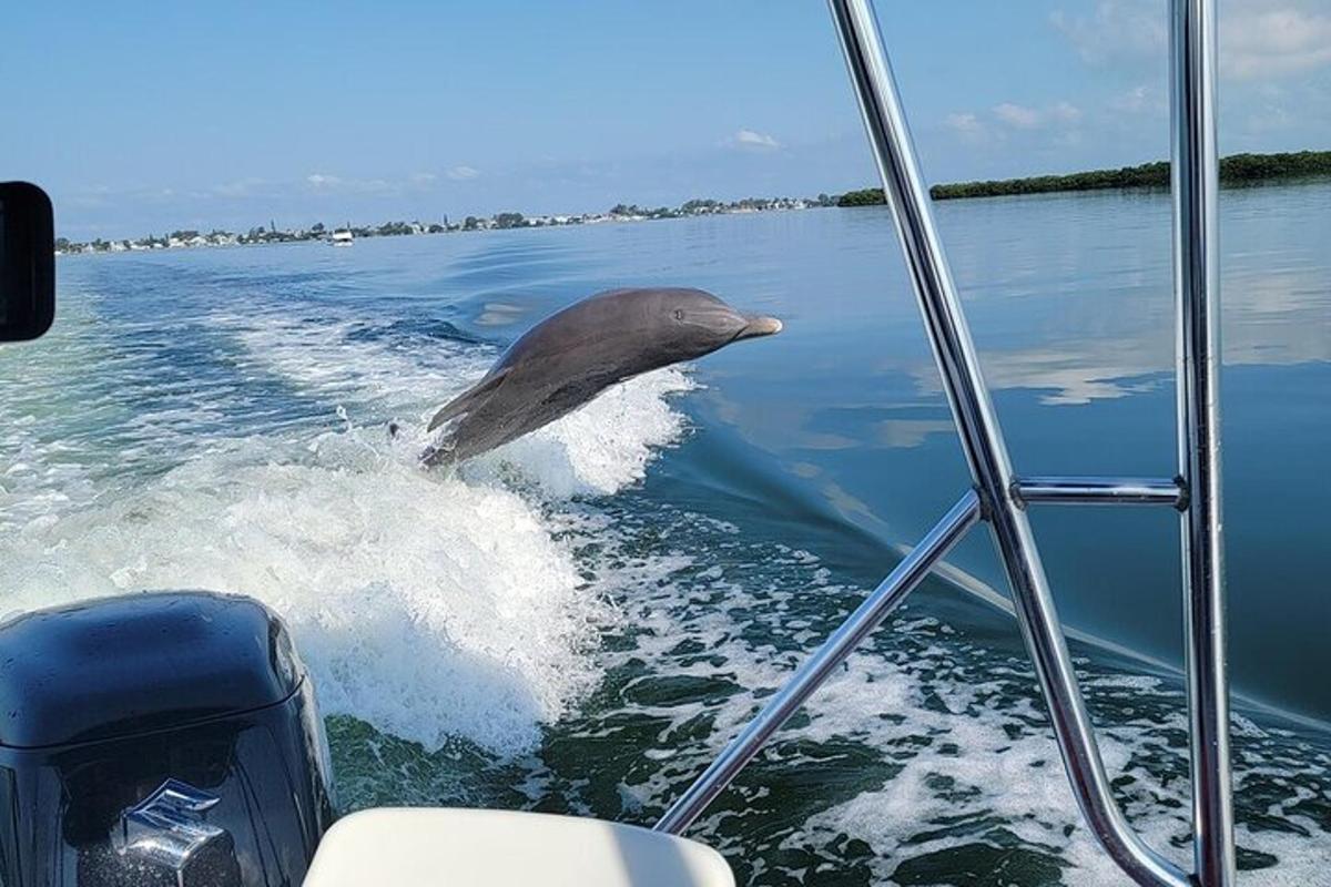en delfin som hoppar upp ur vattnet på en båt