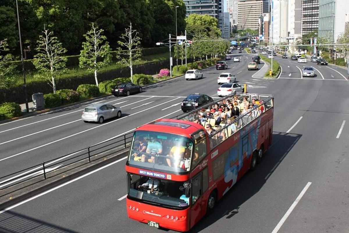 červený dvoupatrový autobus jedoucí po dálnici