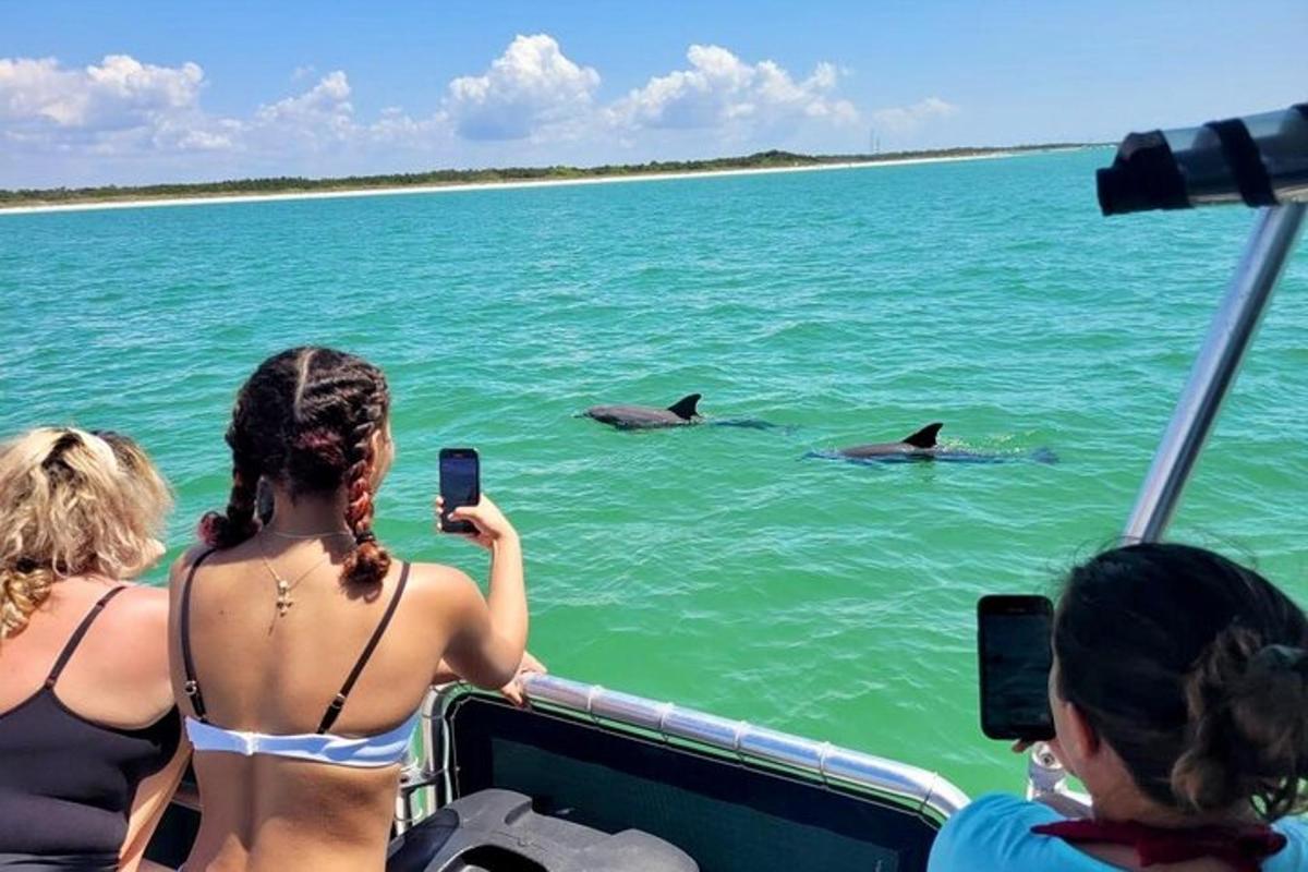 a group of people on a boat taking pictures of dolphins