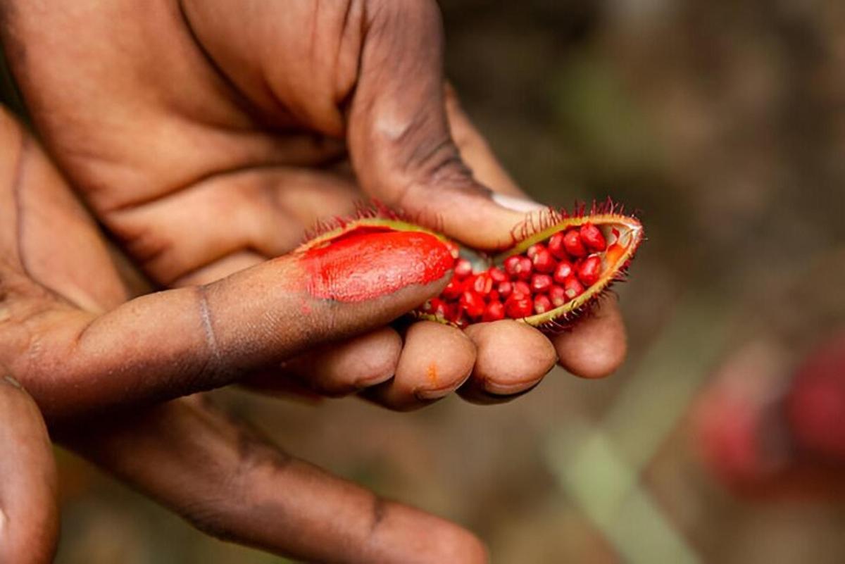 una persona que sosté una peça de fruita