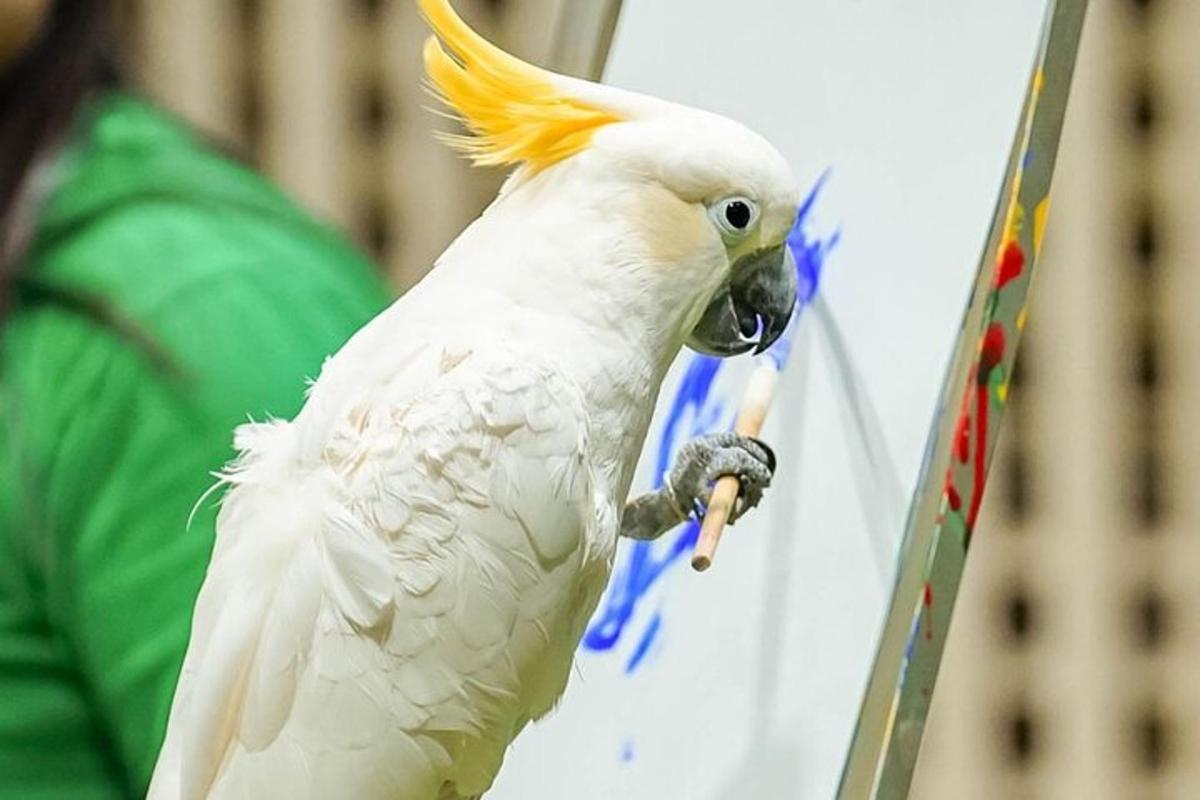 a white parrot is standing on a sign