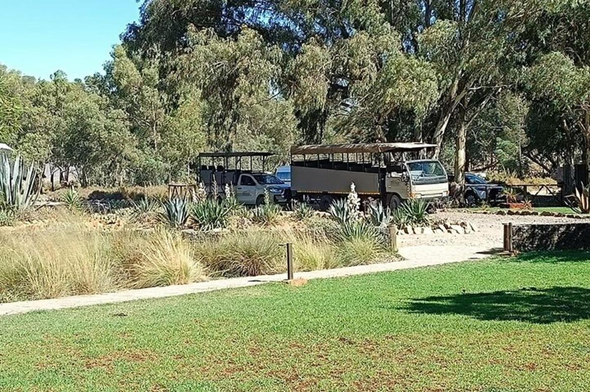 un camion parcheggiato in un campo con alberi ed erba