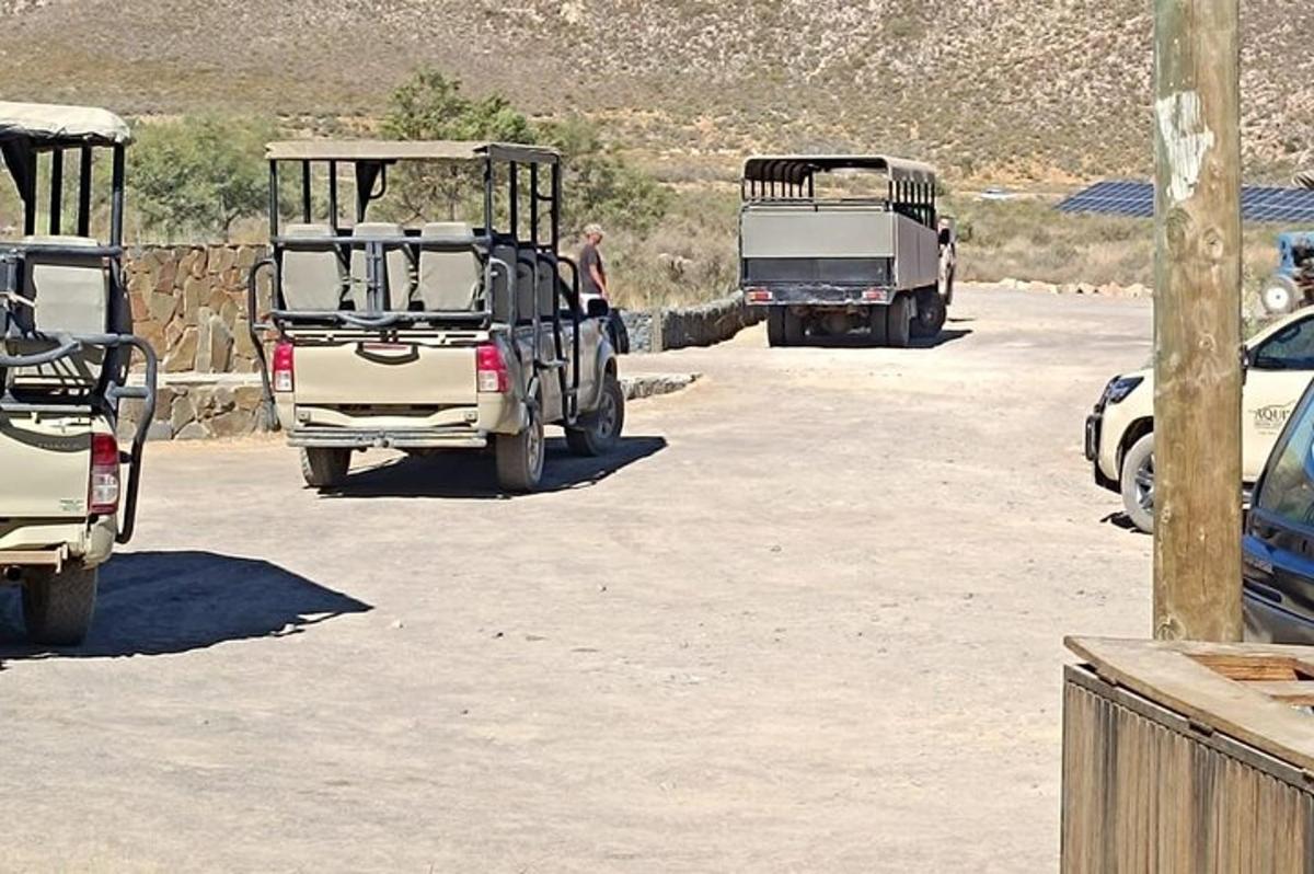 un gruppo di veicoli parcheggiati in un parcheggio