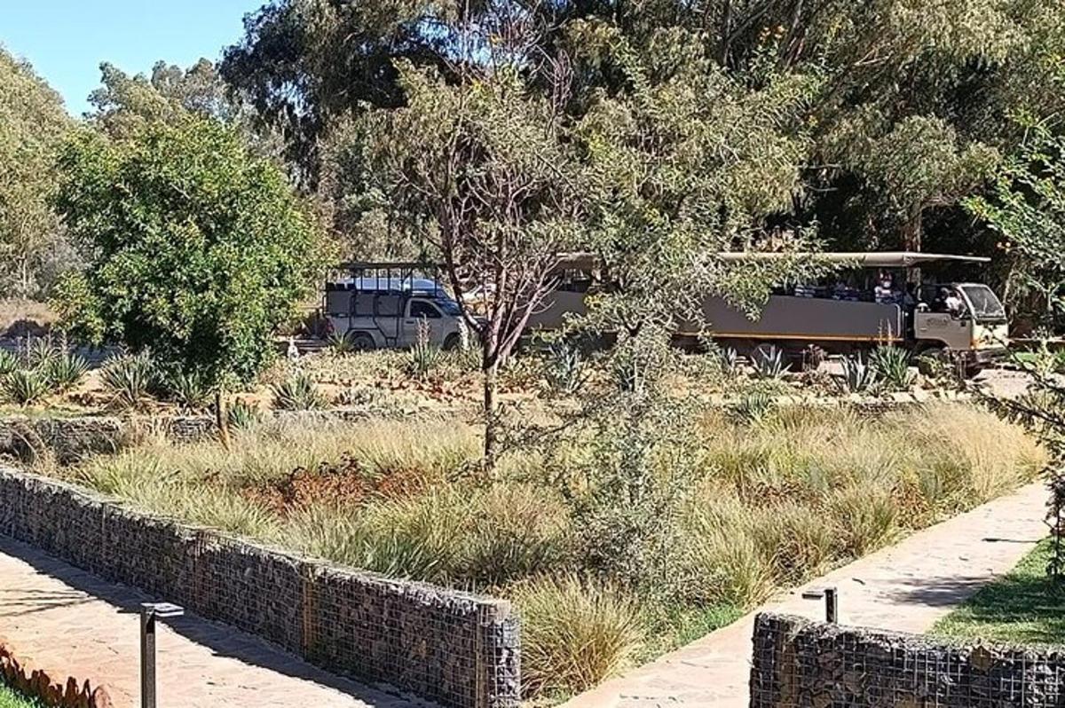 un treno che percorre una strada accanto a un campo