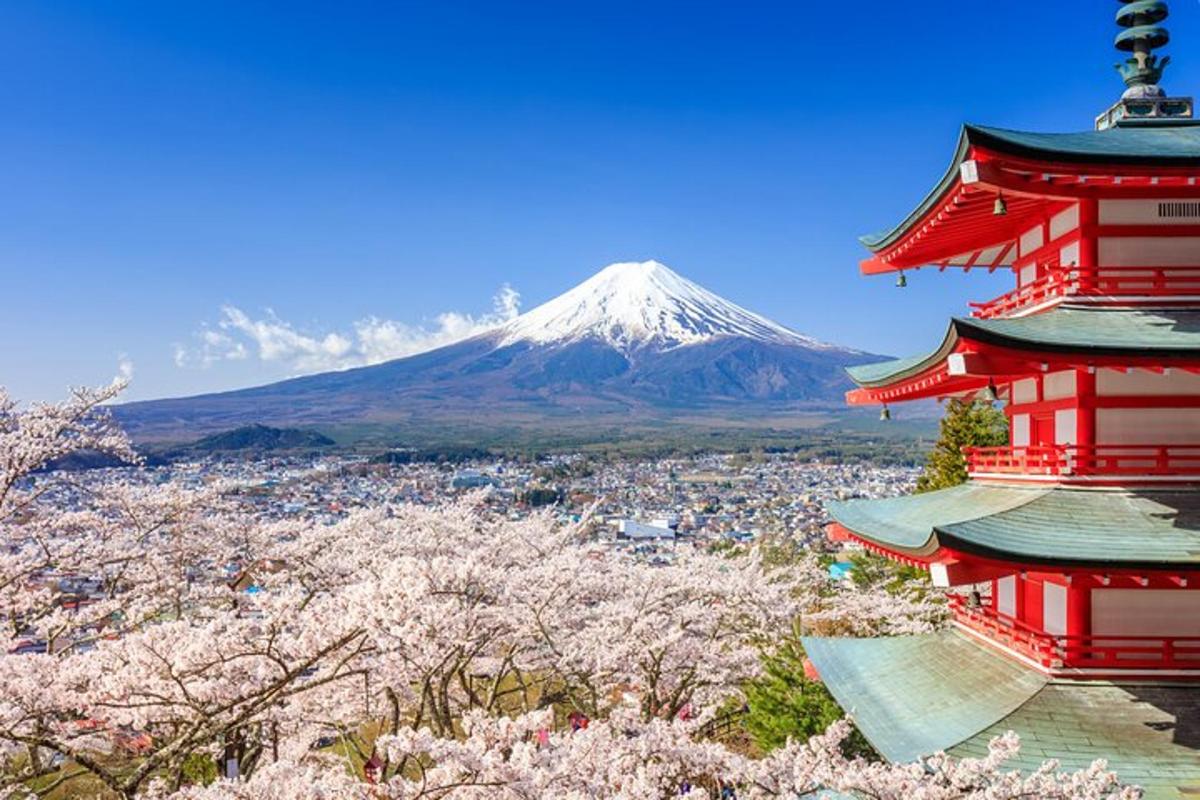 una montagna sullo sfondo con una pagoda rossa e alberi di akura