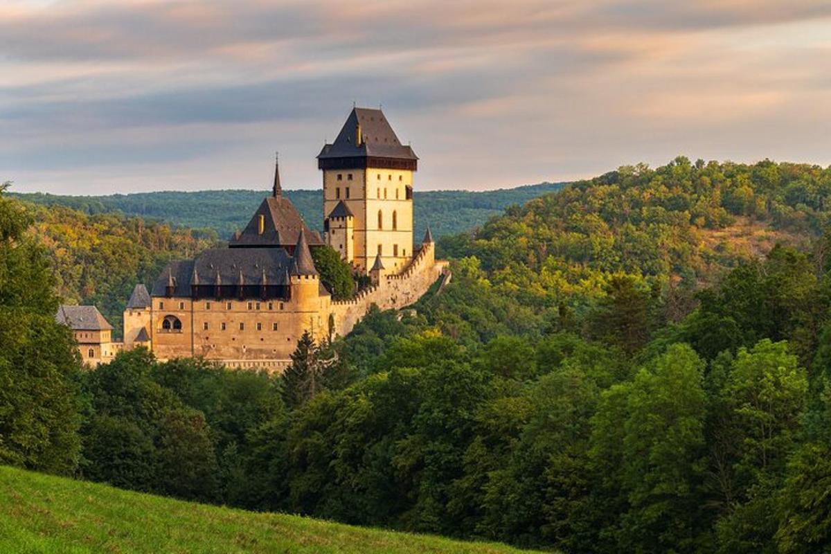 a castle on top of a hill with trees