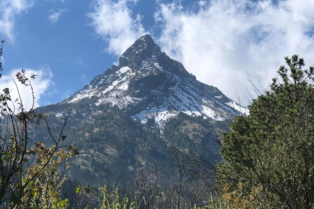 a snow covered mountain in the distance with trees