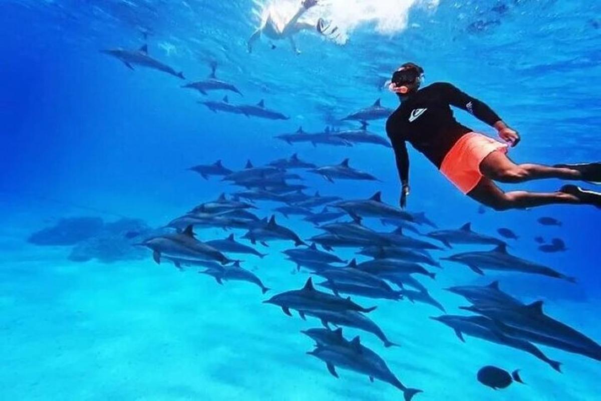 um homem nadando no oceano com uma manada de tubarões