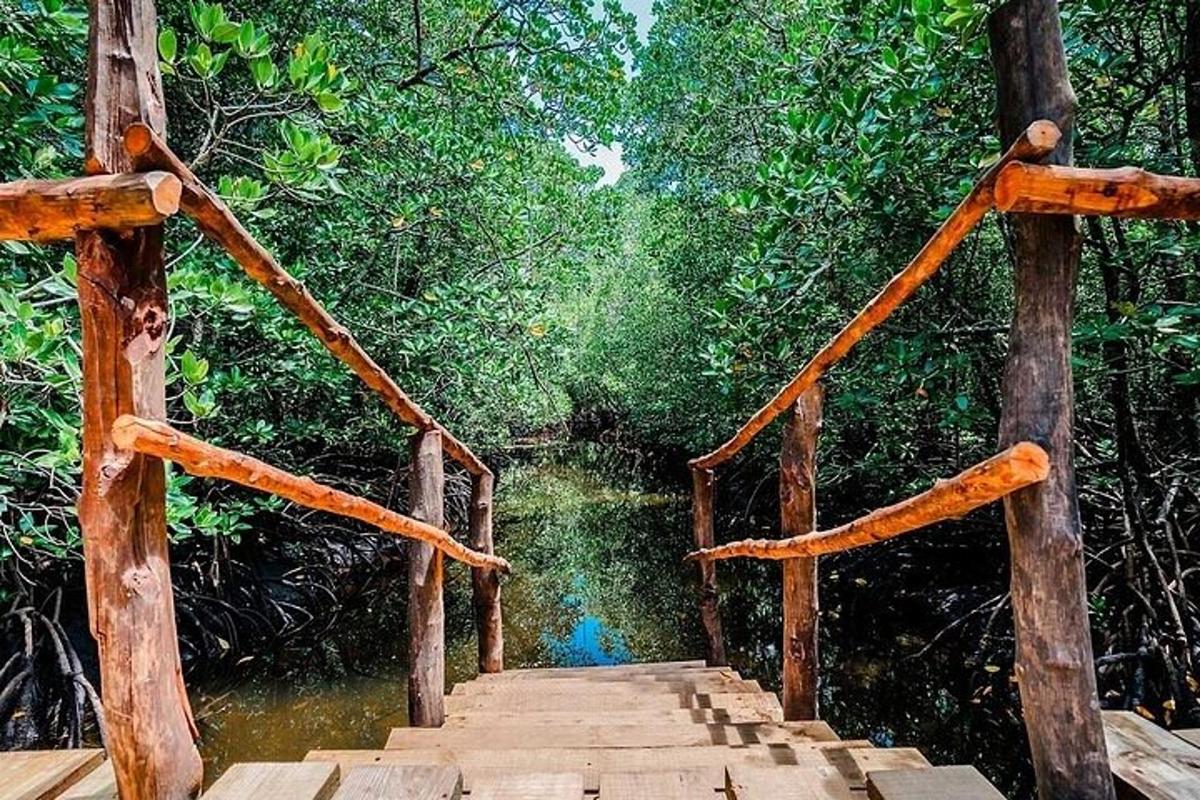 un ponte di legno in mezzo a una foresta