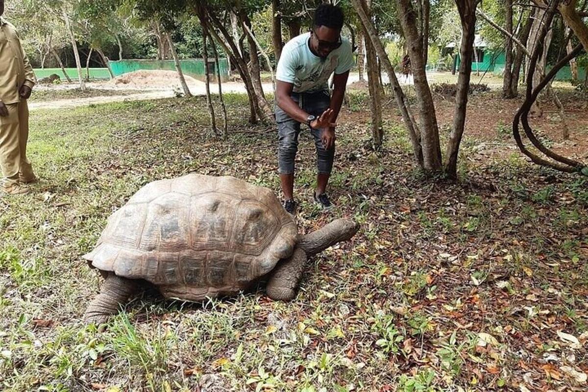 un uomo in piedi accanto a una tartaruga in un campo