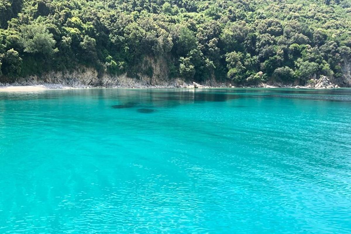 a large body of blue water next to a forest