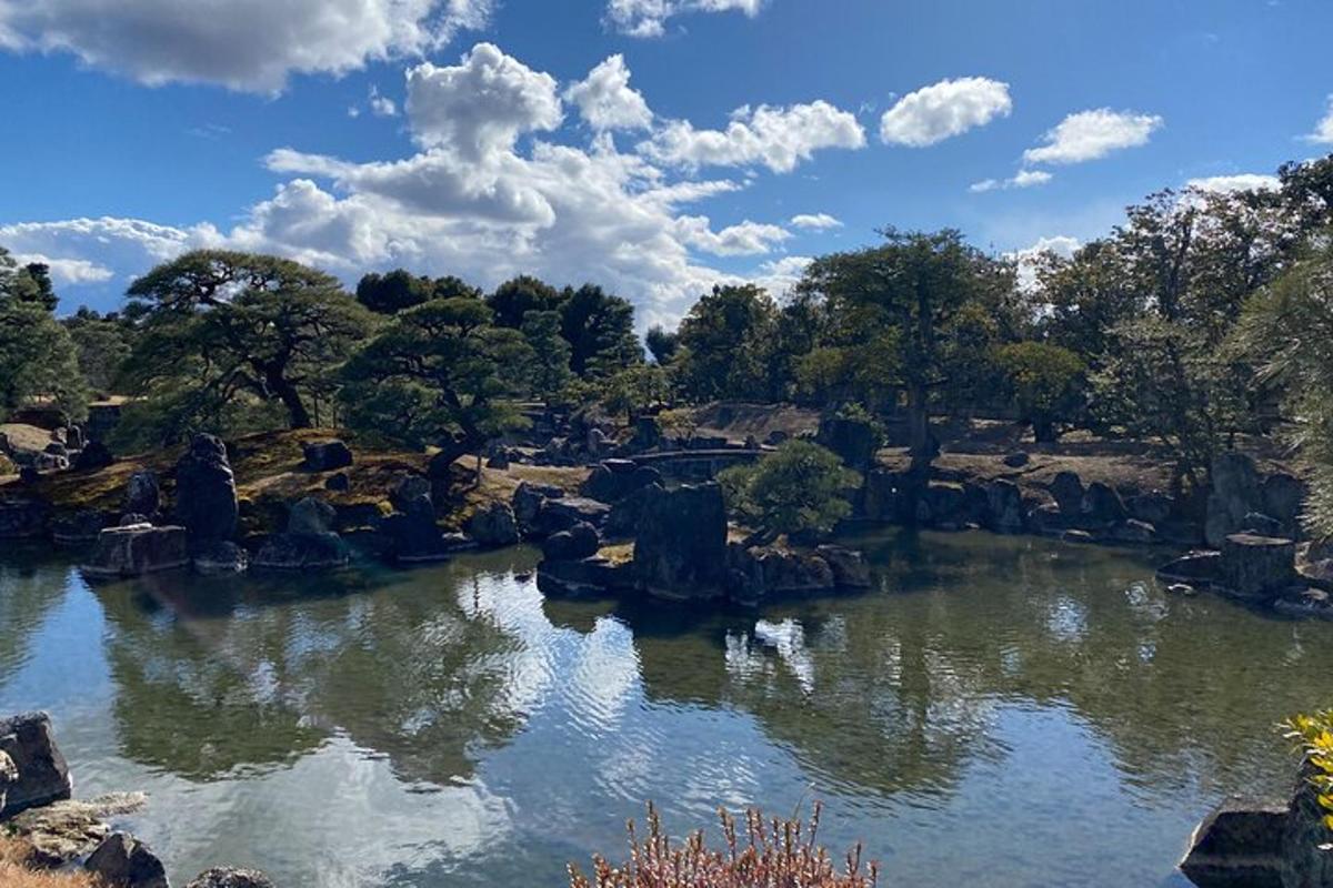 um lago em um parque com pedras e árvores