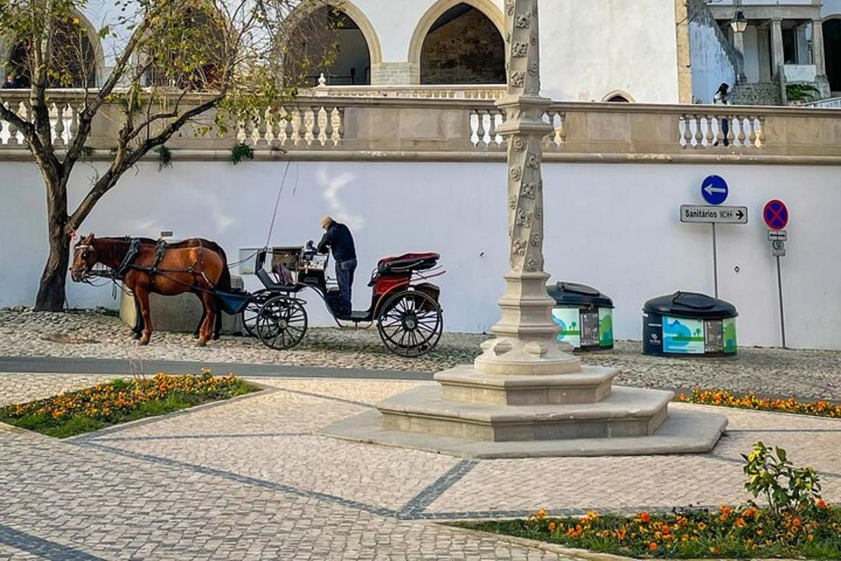 un cavallo che tira una carrozza su una strada