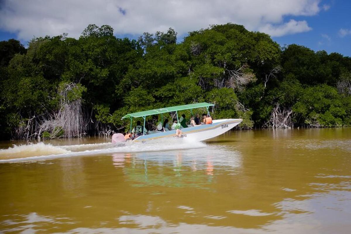 un grupo de personas en un bote en un río