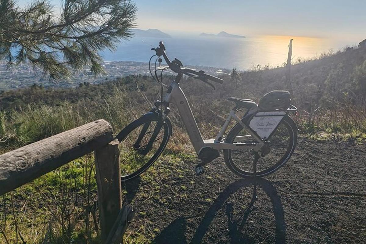 una bicicletta è parcheggiata accanto a una recinzione