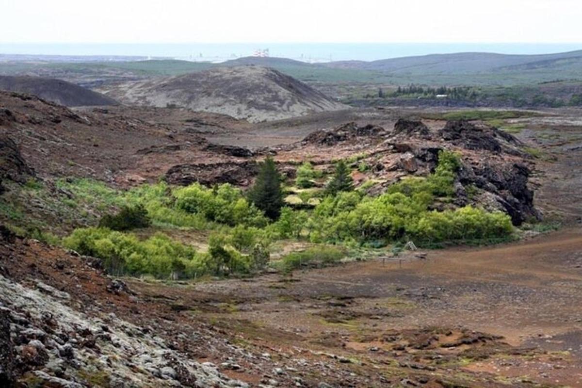вид на гору с деревьями и кустами