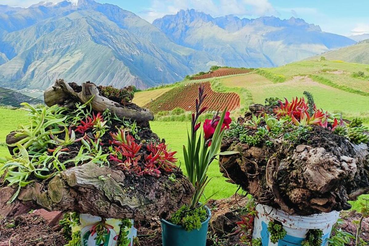 dos gerros plens de flors al cim d'una muntanya