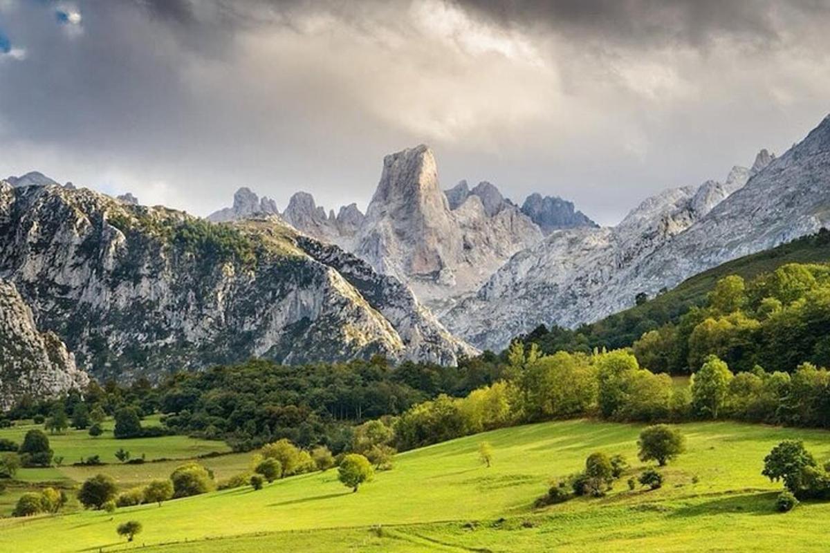 a green field with mountains in the background