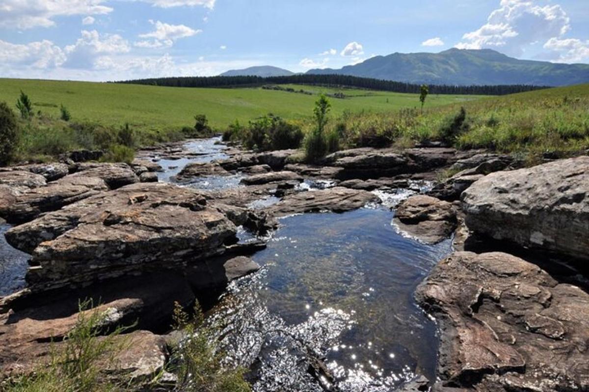 un fiume con rocce, un campo verde e montagne
